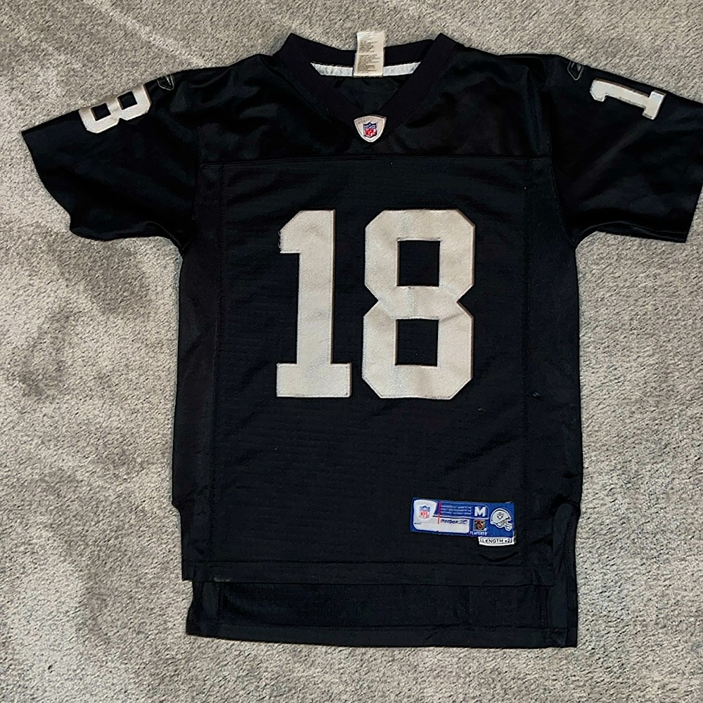 Randy Moss Jersey #18